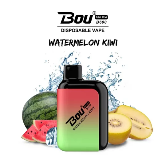 Bou PRO Mini 600 Puffs Wholesale I Vape E Hookah Charger E Hookah Charger