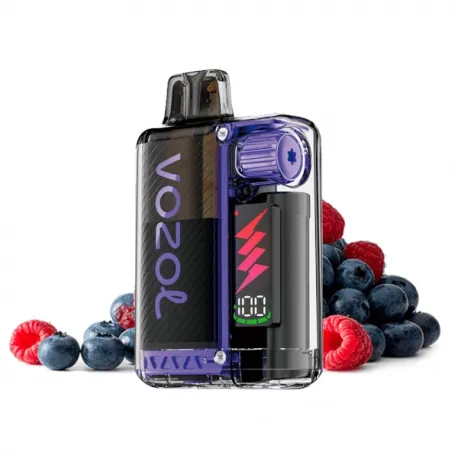 vozol vista plug 210 blueberry sour raspberry