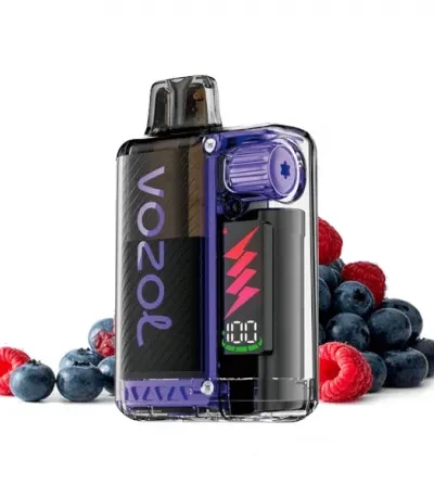 vozol vista plug blueberry sour raspberry